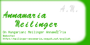 annamaria meilinger business card